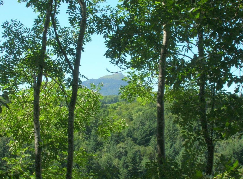 Arboretum de Royat, Royat, France, France